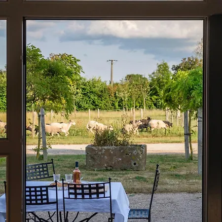 Le Domaine De - Pierres D'histoire Feriehus